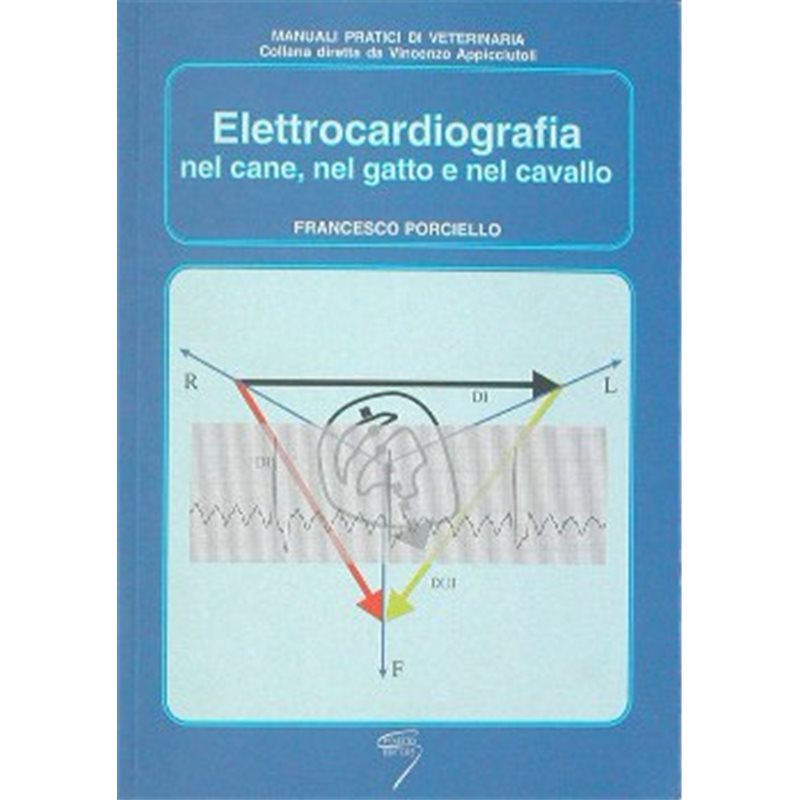 ELETTROCARDIOGRAFIA nel cane, nel gatto e nel cavallo